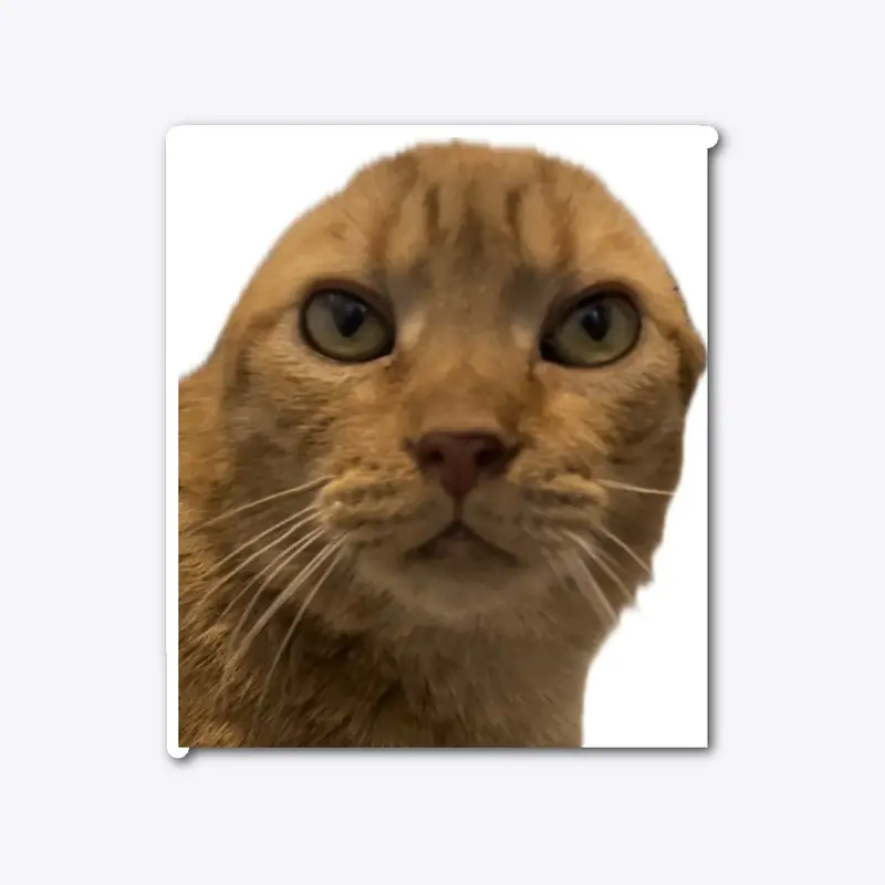 Cheddar Bob Kitty Sticker