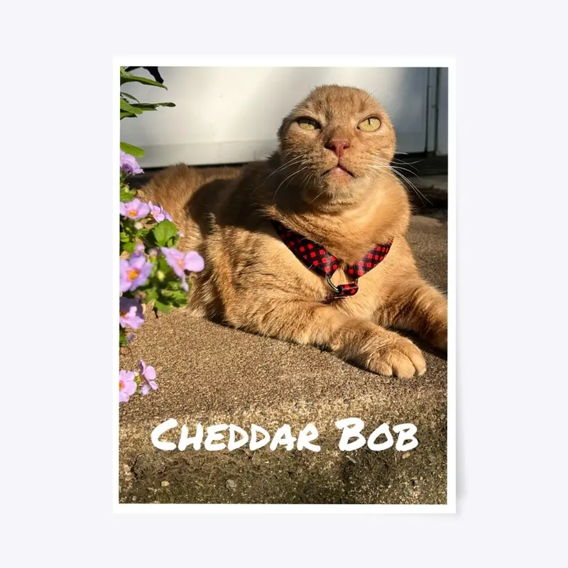 Cheddar Bob Kitty Poster