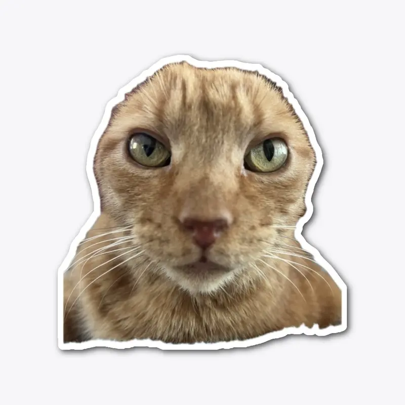 Cheddar Bob Kitty Sticker